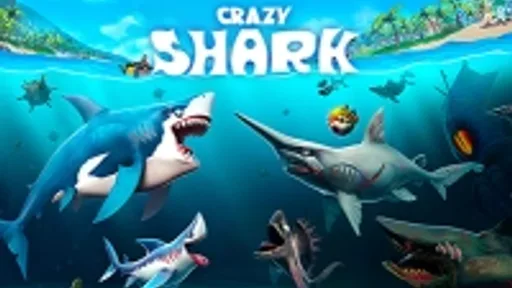 Crazy Shark