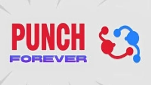Punch Forever